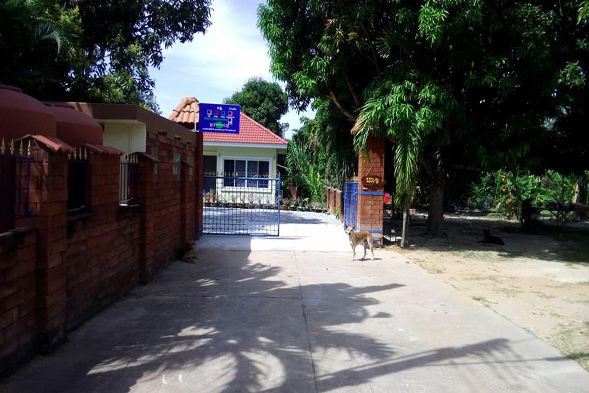 Pat'S Hideaway Bungalows رايونغ المظهر الخارجي الصورة